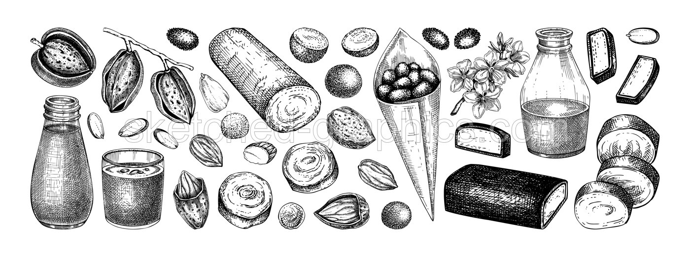 Almond sketches set. Hand drawn vector illustrations. Marzipan paste, nut milk, roasted almond, marzipan in chocolate, nutshells sketches. Healthy food, bakery ingredients, packaging design elements Illustration